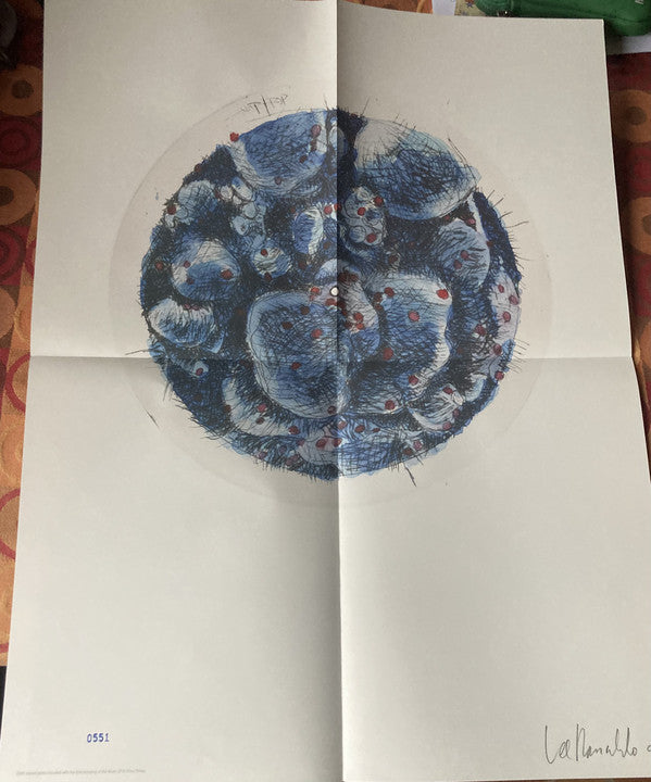 Lee Ranaldo : In Virus Times (LP, S/Sided, Etch, Ltd, Tur)