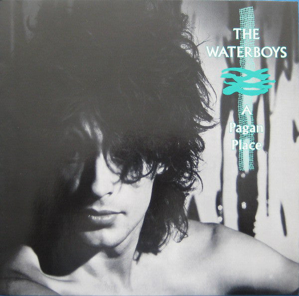 The Waterboys : A Pagan Place (LP, Album)