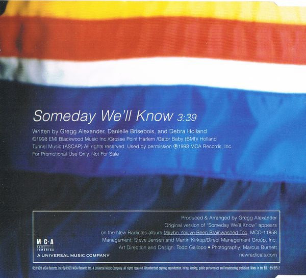 New Radicals : Someday We'll Know (CD, Single, Promo)