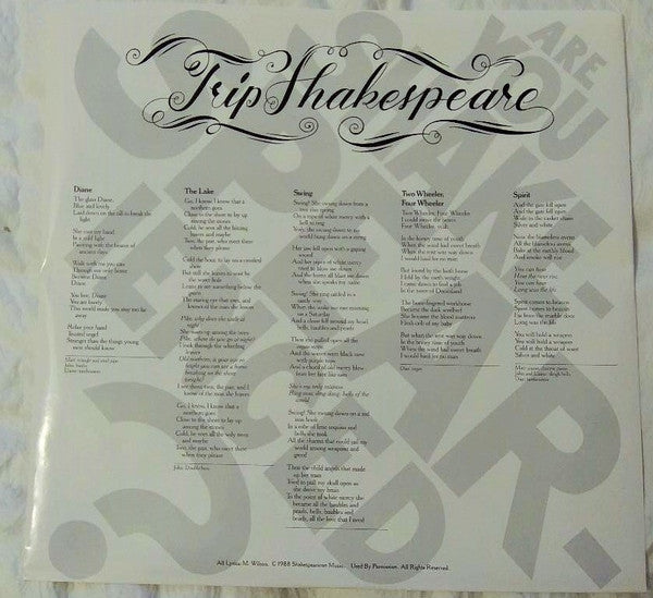 Trip Shakespeare : Are You Shakespearienced? (LP, Album)