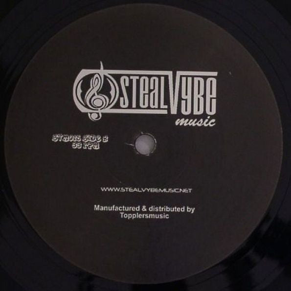 Steal Vybe : Track 2 The Future (12")