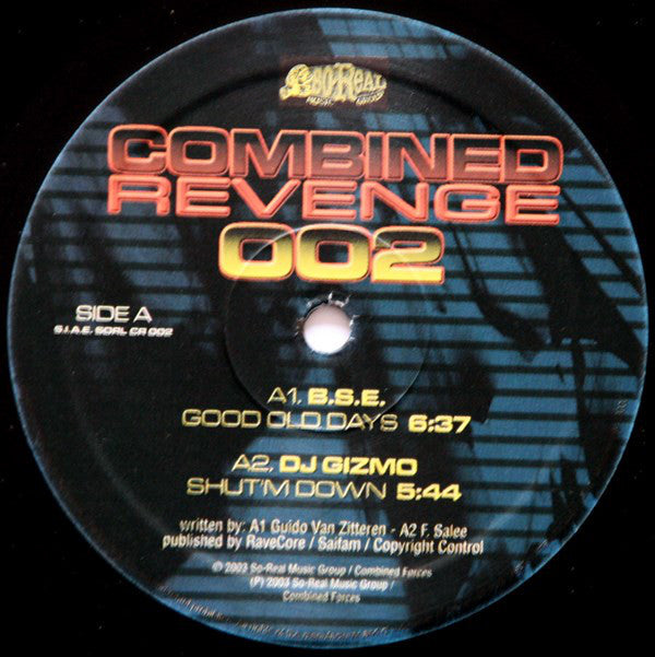 Various : Combined Revenge 002 (12", Comp)