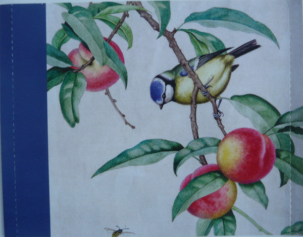 Various : Music For Bird Lovers (CD, Comp)