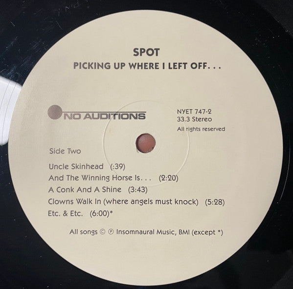 Spot : Picking Up Where I Left Off (LP, Album)