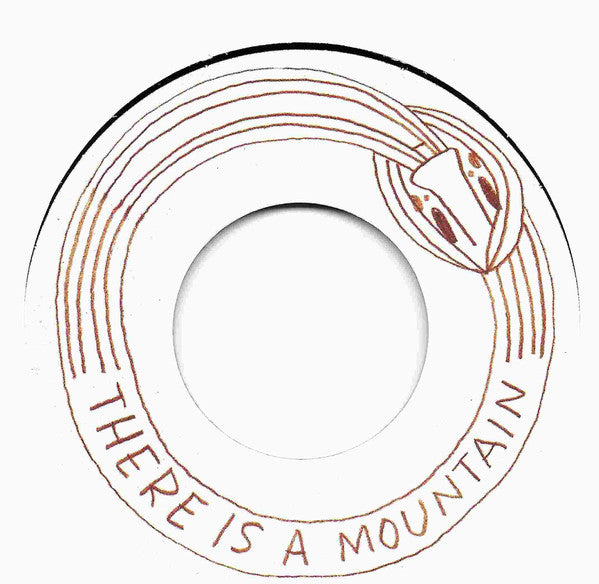 Andrew Hockey : There Is A Mountain (7", Single)