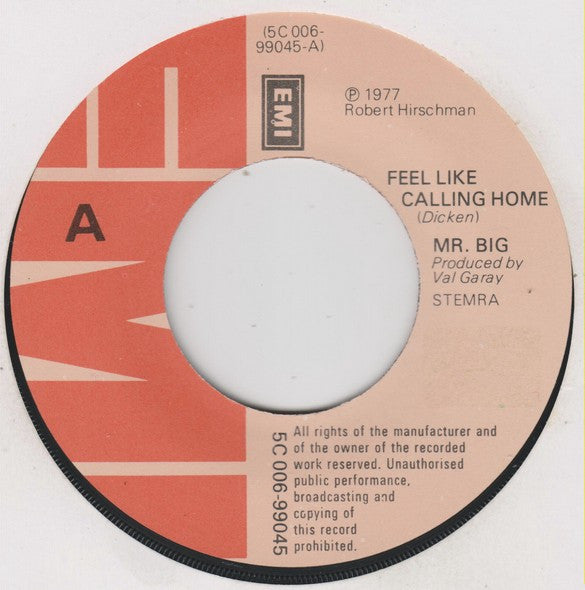 Mr Big : Feel Like Calling Home (7", Single)