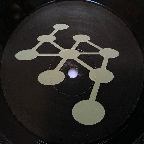 Cyborg X : This Is The House... / This Is The Flat... (12")