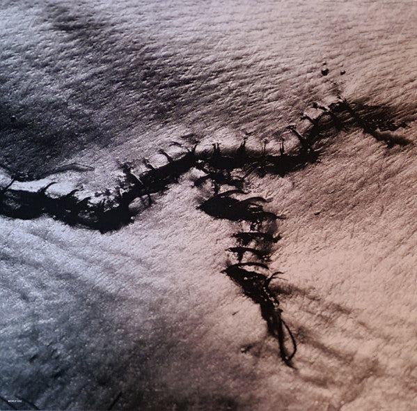 Ministry : Filth Pig (LP, Album, RE)