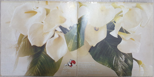 Jane : Between Heaven And Hell (LP, Album, Gat)