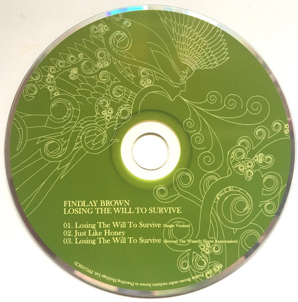 Findlay Brown : Losing The Will To Survive (CD, Single)