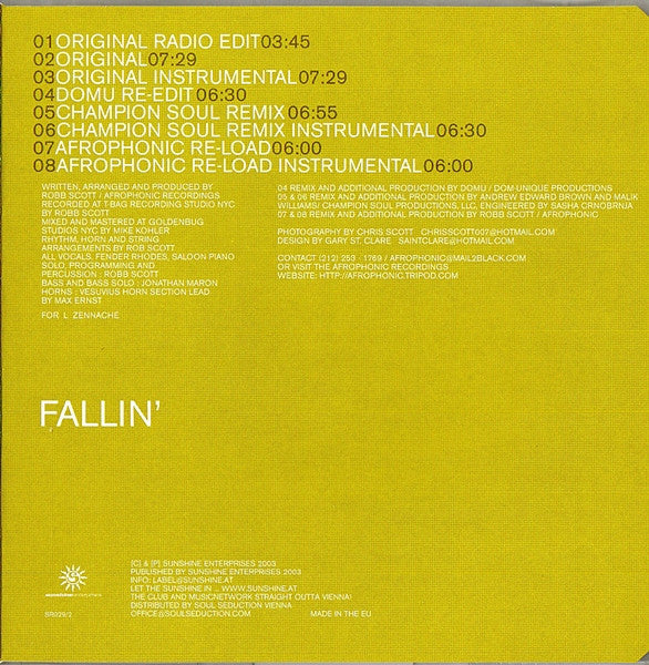 Robb Scott : Fallin' (CD, Maxi)