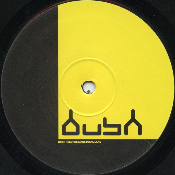 Sina M. Solouk* : Fragile Goods EP (12", EP)