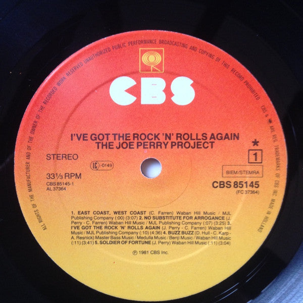 The Joe Perry Project : I've Got The Rock 'N' Rolls Again (LP, Album)