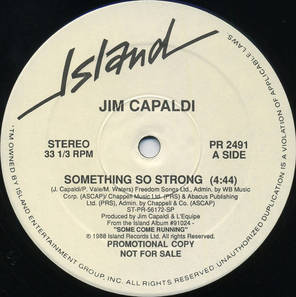 Jim Capaldi : Something So Strong (12", Promo)