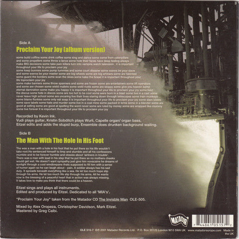 Mark Eitzel : Proclaim Your Joy (7", Single)