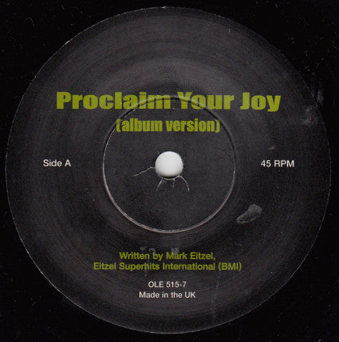 Mark Eitzel : Proclaim Your Joy (7", Single)