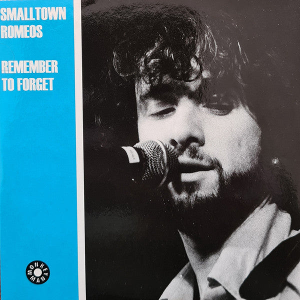 Smalltown Romeos : Remember To Forget (CD, Single)