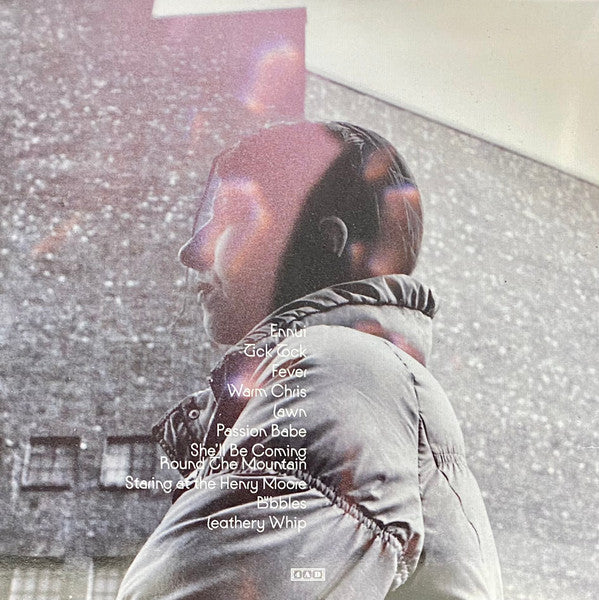 Aldous Harding : Warm Chris (LP, Album)