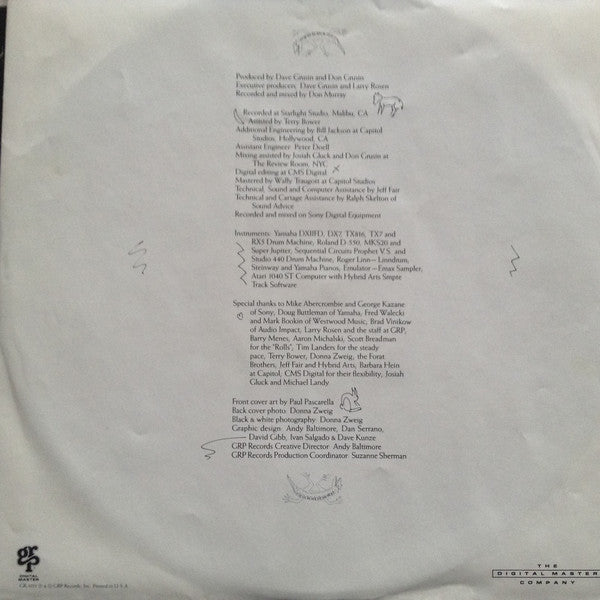 Dave Grusin, Don Grusin : Sticks And Stones (LP, Album, Car)