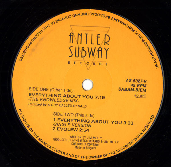 My Jealous God : Everything About You (Remix) (12")