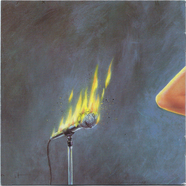 Pitti Polak : Silly Coincidence (CD, Album)