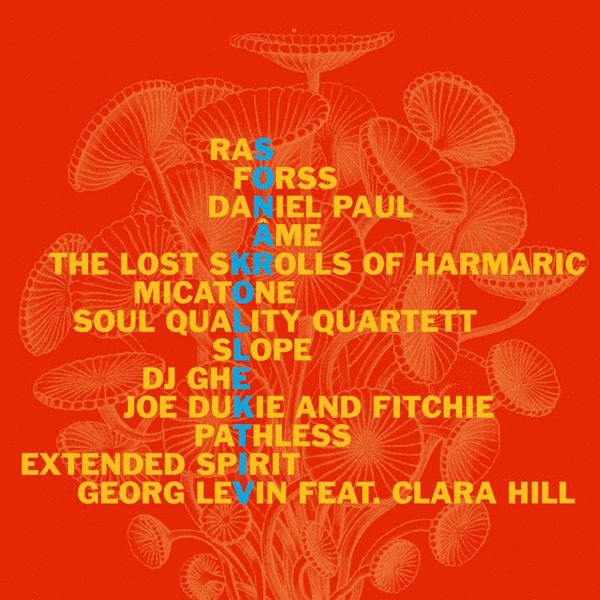 Various : Sonar Kollektiv 2 (CD, Comp, Promo)