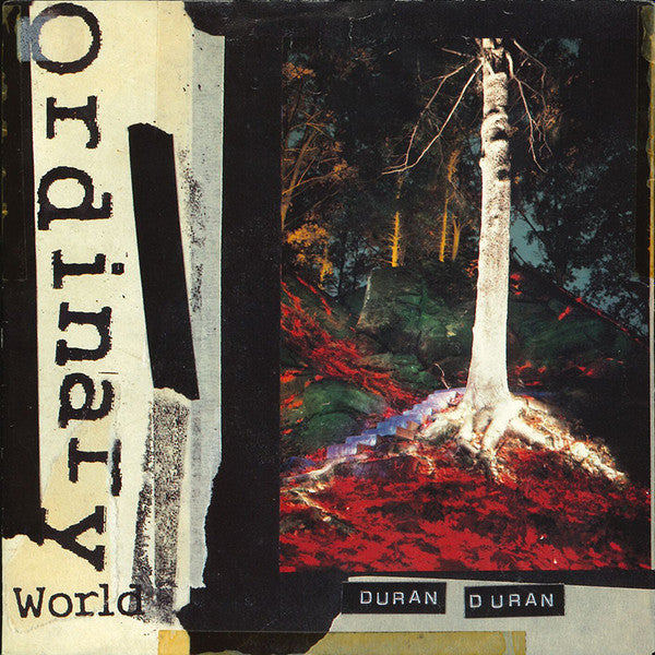 Duran Duran : Ordinary World (7", Single)