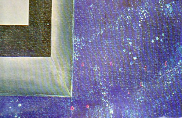 Walkers* : Pregnancy (LP, Album)