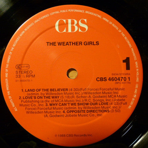 The Weather Girls : The Weather Girls (LP, Album)