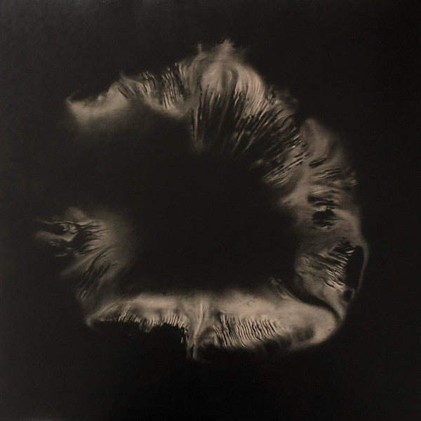 Rook (20) : Infinite Empty (LP, Album, Whi + LP, S/Sided, Album, Whi)