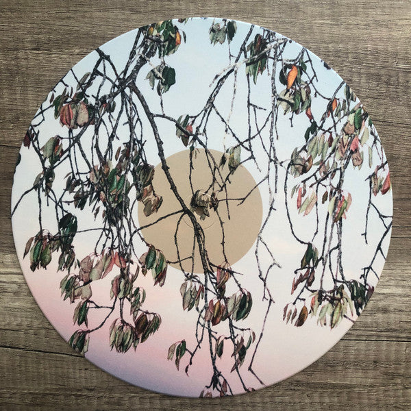 Anouk : Trails Of Fails (LP, MiniAlbum, Ltd, Num, Whi)