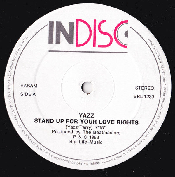Yazz : Stand Up For Your Love Rights (12")