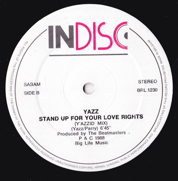 Yazz : Stand Up For Your Love Rights (12")