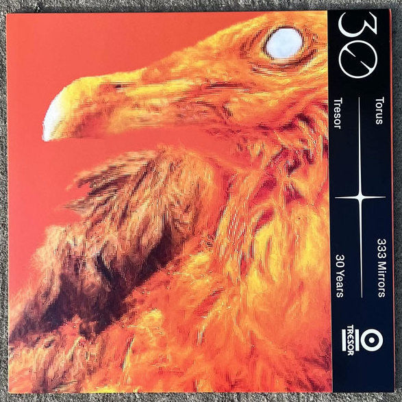 Torus (4) : 333 Mirrors (12", EP, 180)