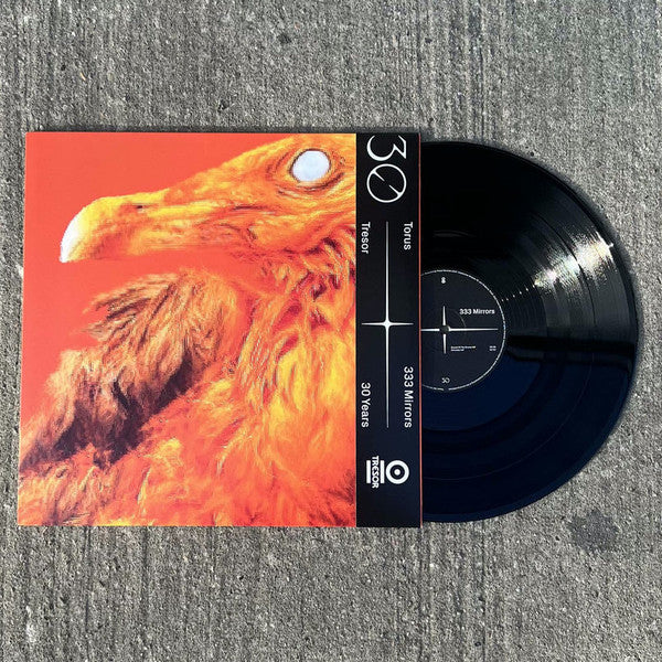 Torus (4) : 333 Mirrors (12", EP, 180)