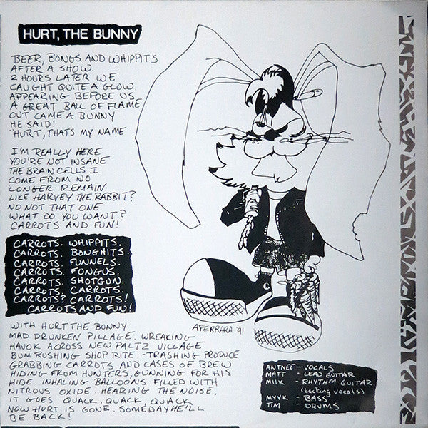 Functional Idiots : He's Dead Jim / Hurt The Bunny (7", Pur)