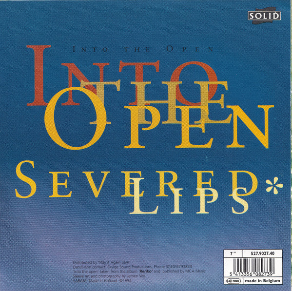 Daryll-Ann : Into The Open (7")