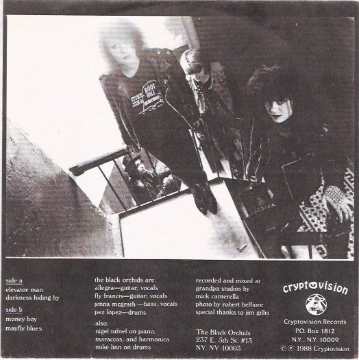 The Black Orchids : The Lunatics Ball (7")