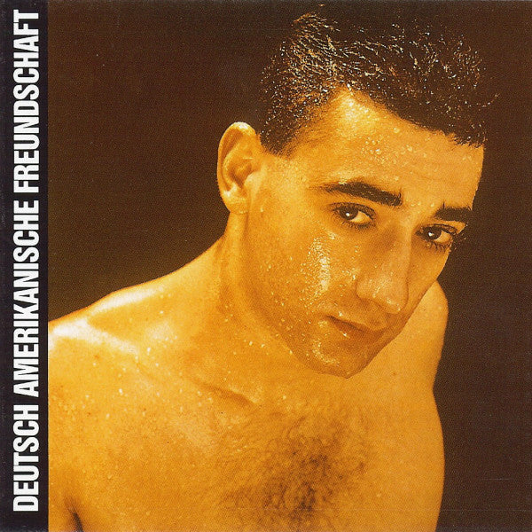 Deutsch Amerikanische Freundschaft : Alles Ist Gut (LP, Album)