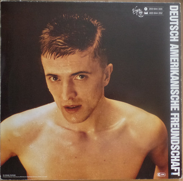 Deutsch Amerikanische Freundschaft : Alles Ist Gut (LP, Album)