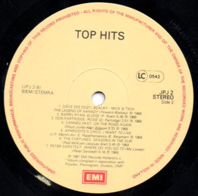 Various : Top Hits (2xLP, Comp)