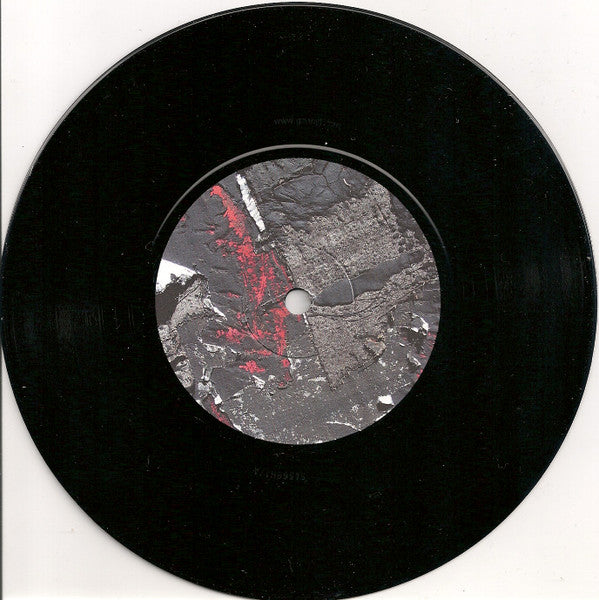Reptiljan / Ibrahim Terzic : Pangrenade / Yuck Brij (7")