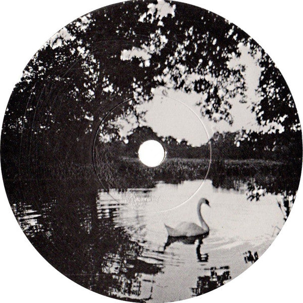 The Orchard (2) : A Secret (7", Single)