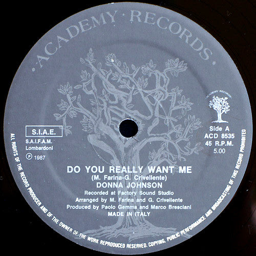 Donna Johnson : Do You Really Want Me (12")