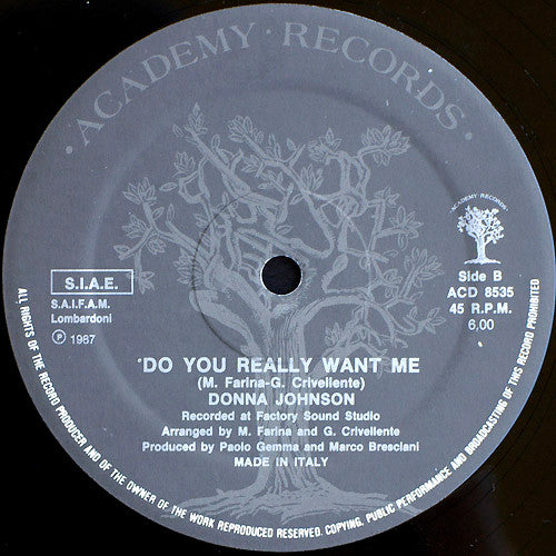 Donna Johnson : Do You Really Want Me (12")