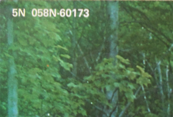 Rick Danko : Rick Danko (LP, Album)