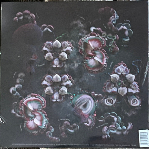 Björk : Fossora (2xLP, Album, Ltd, Bur)