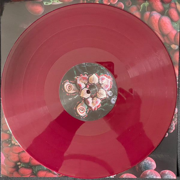 Björk : Fossora (2xLP, Album, Ltd, Bur)