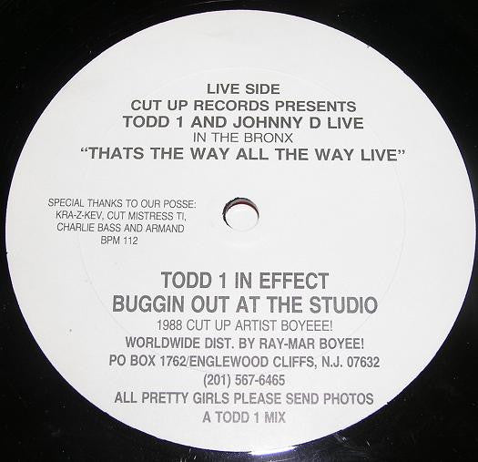 Todd 1 And Johnny D (2) : All The Ladies In The House / Thats The Way All The Way Live (12")