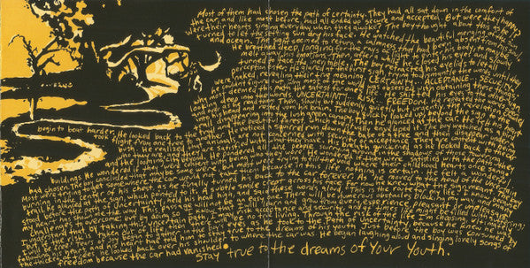 Boy Hits Car : Boy Hits Car (CD, Album)